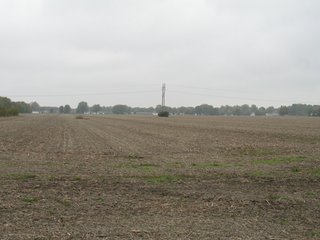 Property photo 15 - 76.8 +/- Acres Mostly Tillable - Land Auction